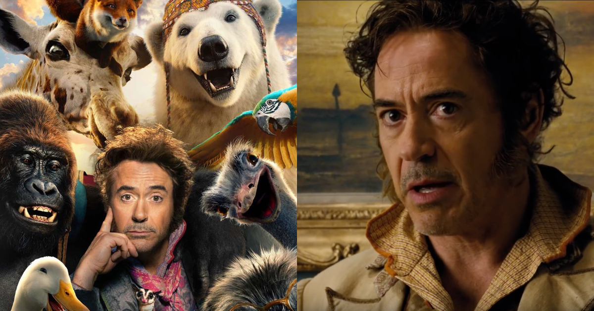 當iron Man消失後 Robert Downey Jr 以 動物傳心師 回歸