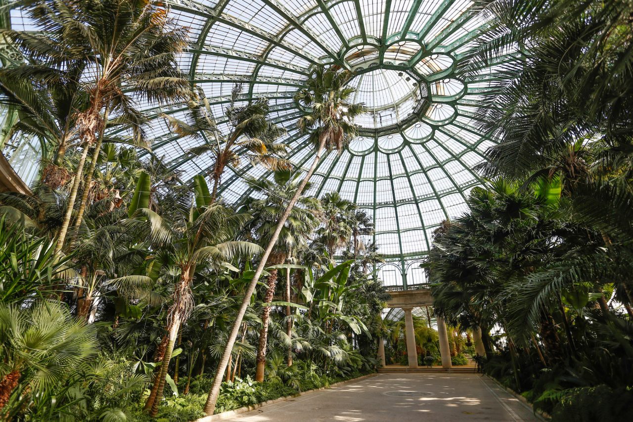一生至少要去一次 6個全球最instagrammable 溫室花園