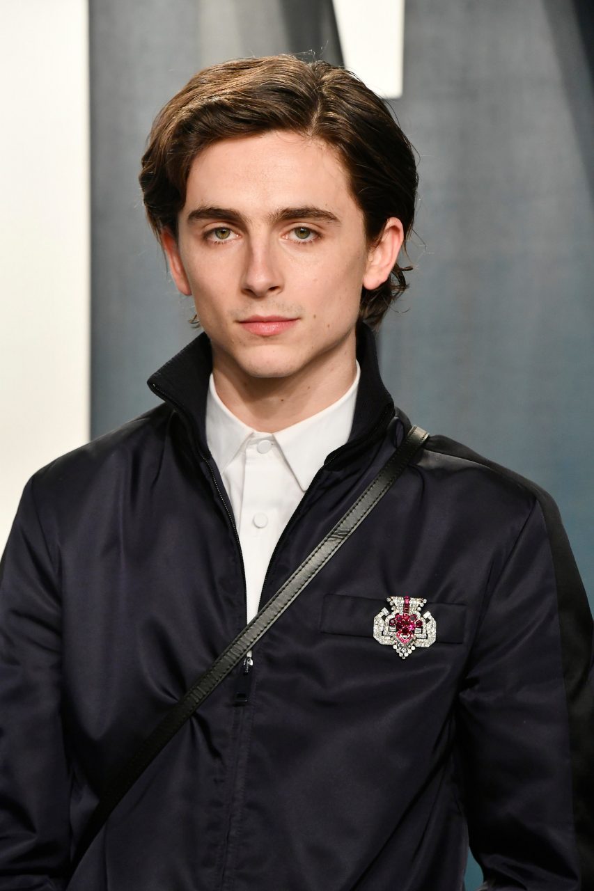 10件關於電影新世代男神「甜茶」 Timothée Chalamet 的事情 ！