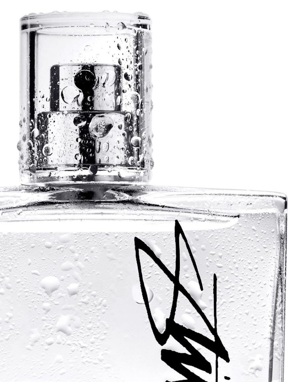 大きい割引 stussy 香水 50ml 香水(男性用) - www.aleolighting.com