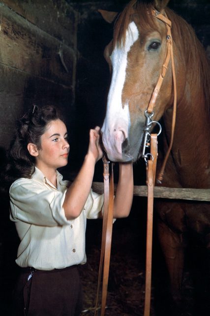 令Elizabeth Taylor一炮而紅的經典電影《National Velvet》，8個令你大開眼界的內幕故事