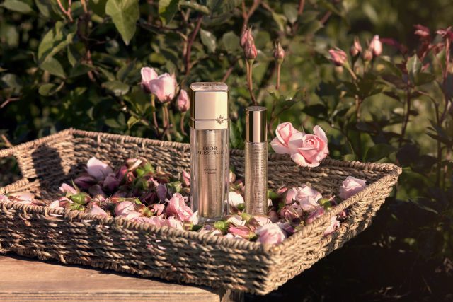 直擊Dior法國南部「時光之旅」的美容奧秘：全新玫瑰花蜜極緻再生修護精華如何做到逆轉肌齡？