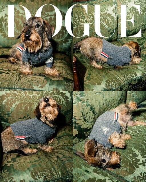 Thom Browne 標誌性 Hector 手袋的靈感來源！設計師分享與愛犬的生活細節